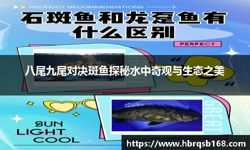 新利体育